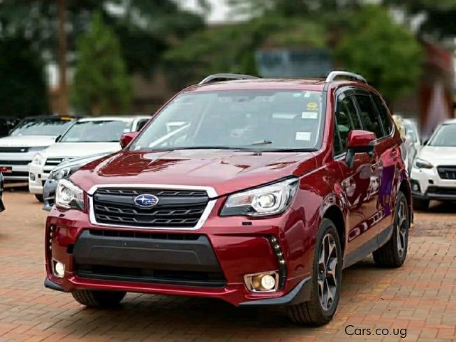 
								Subaru FORESTER full									